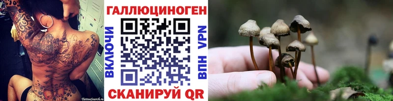 hydra ссылка  как найти закладки  Верея  Галлюциногенные грибы MAGIC MUSHROOMS 
